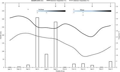 Soil Biological Activity Contributing to Phosphorus Availability in Vertisols under Long-Term Organic and Conventional Agricultural Management